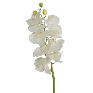 Planta Artificial Encanel Orquídea Butterfly Branca - 74cm